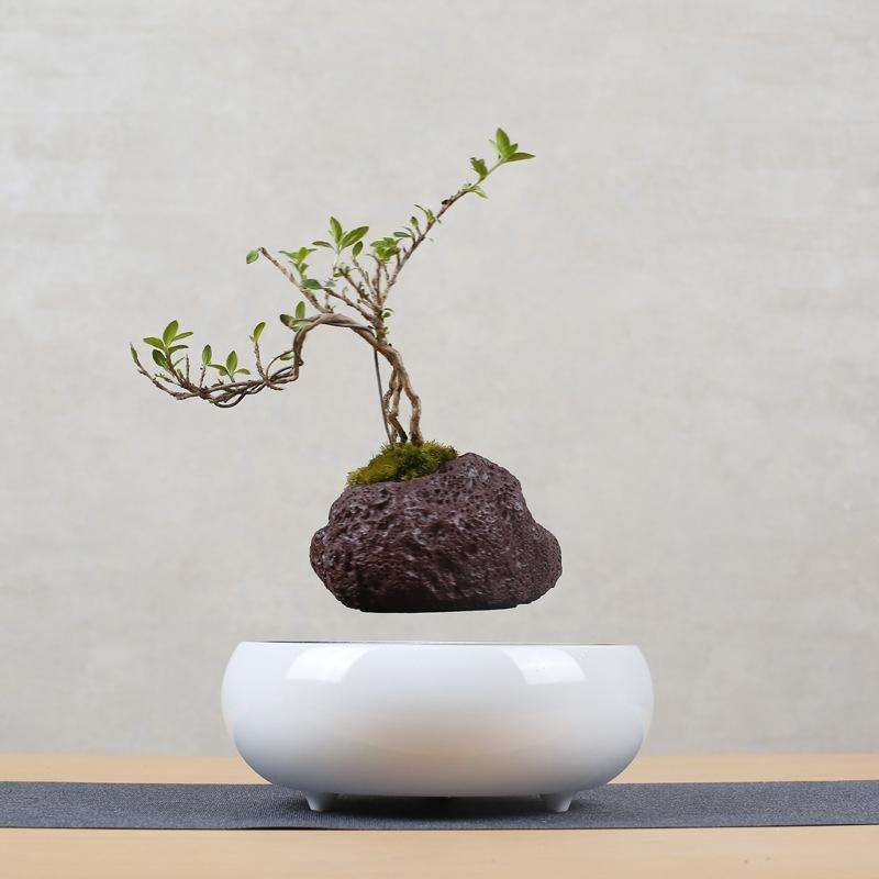 Volcanic Rock Flower Pot + Imitation Ceramic Resin Base Magnetic Levitation Potted Plant Home Dec...