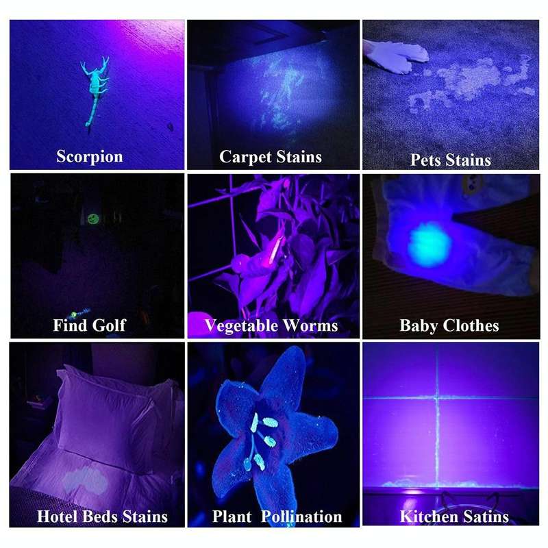 100 LED UV Flashlight Scorpion Detector Fluorescence Detector