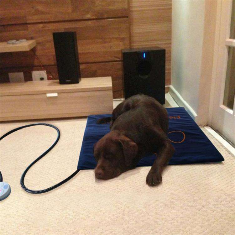 Pet Heating Pad Waterproof and Anti-Scratch Electric Blanket, Size: 60x45cm, Specification: US Plug