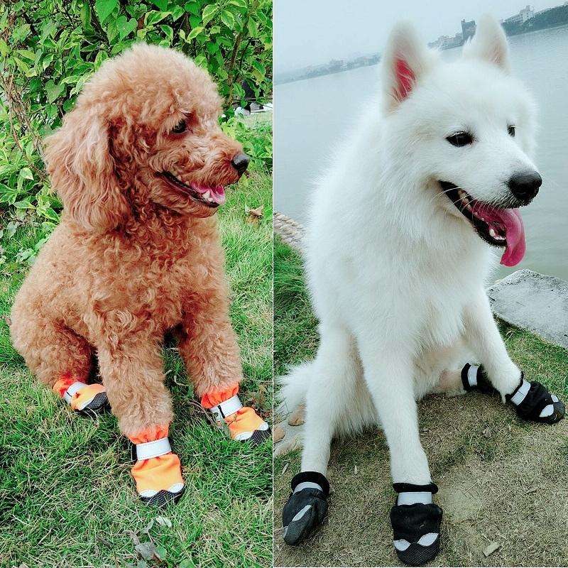 Pet Waterproof Non-Slip Wear-Resistant Snow Boots Four Seasons Dog Shoes, Size: 5(Black)