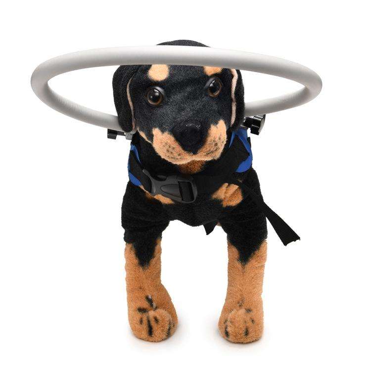 Dog Blindness Anti-Collision Ring Animal Protection Ring Cover Guide Ring, Specification: M(Blue)