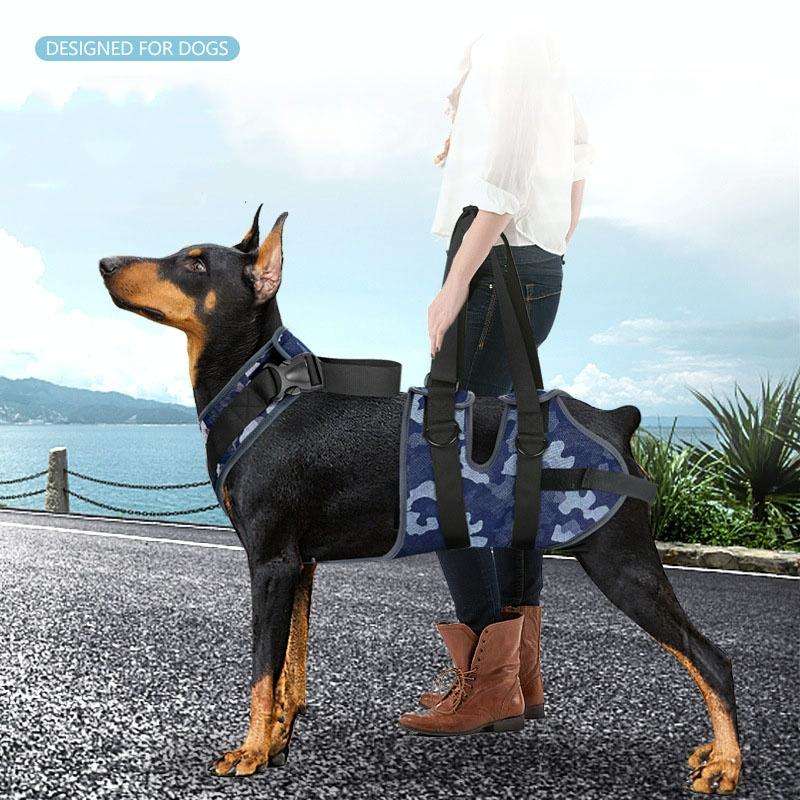 Injured Dog Auxiliary Leash Front and Rear Leg Double Slings For Large and Medium-sized Dogs, Siz...