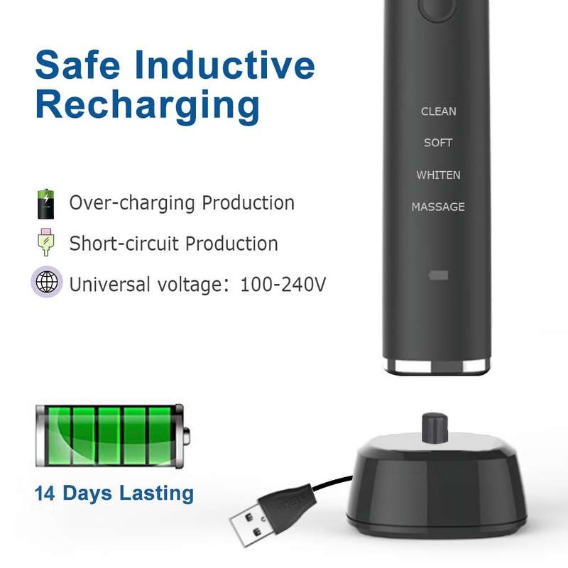 USB Charging Adults Electric Sonic Toothbrush with 8 Brush Heads(Black)