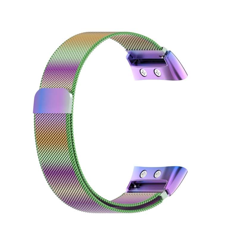 For Garmin Forerunner 45 / 45S / Swim 2 Milanese Watch Band(Colorful)