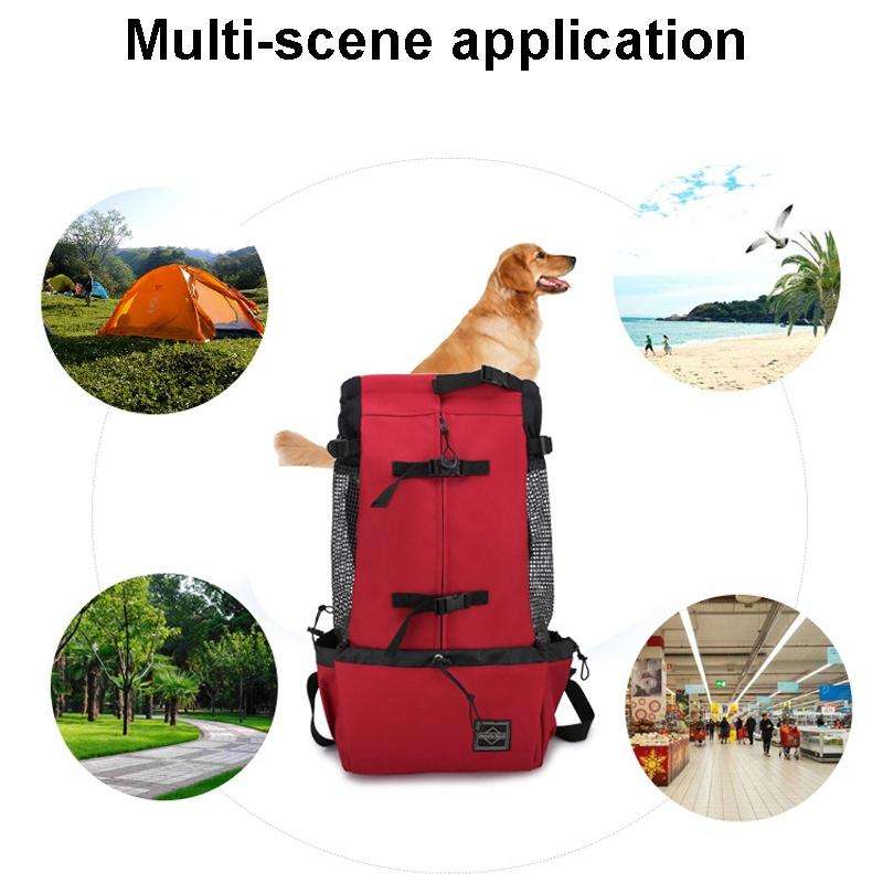 Ventilated And Breathable Washable Pet Portable Backpack, Size: L(Blue)