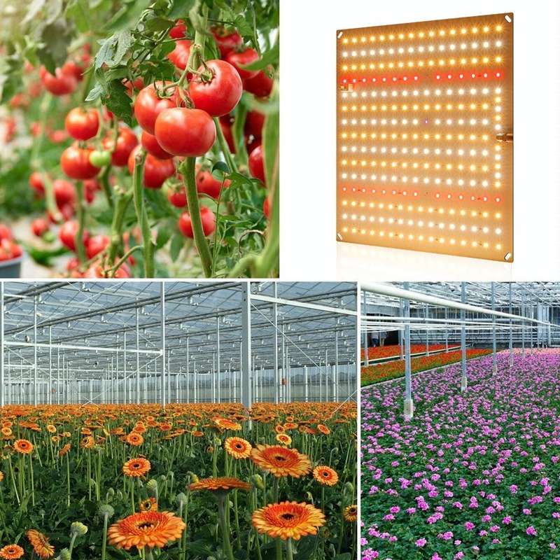 LED Plant Fill Light Full-Spectral Greenhouse Lighting Growth Light, Power: H2 234 Leds 50W(AU Plug)