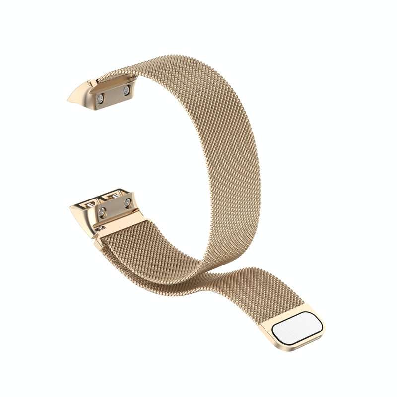 For Garmin Forerunner 35 / 30 Milanese Watch Band(Champagne Gold)