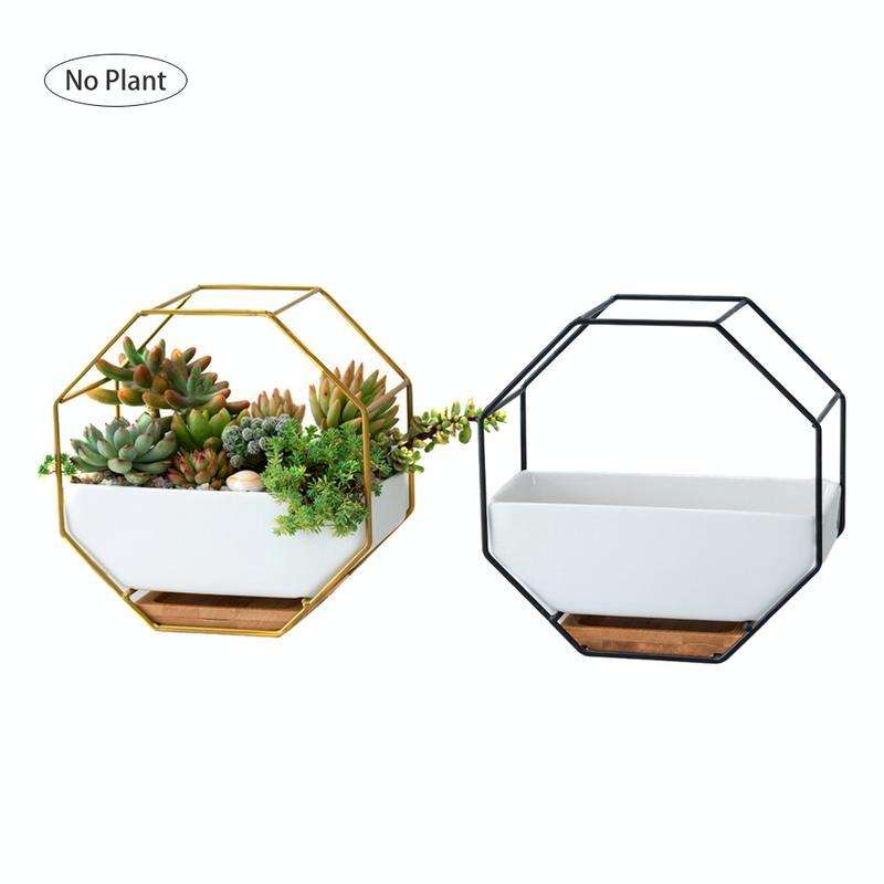 Simple Octagonal Geometric Wall Hanging Table Succulent Platter Bamboo Support Iron Frame Flower ...