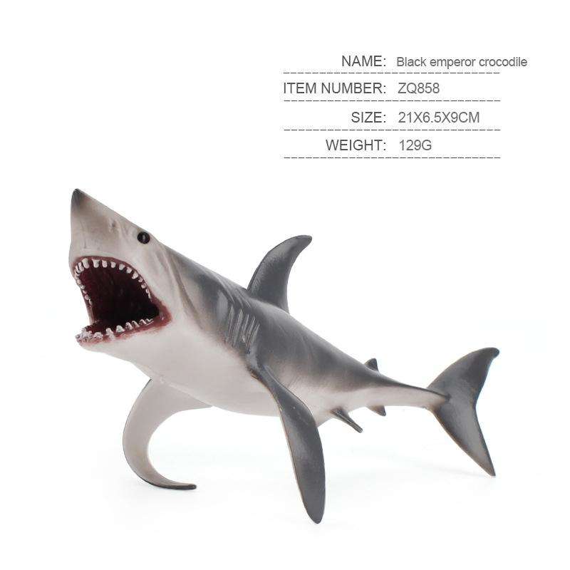 Children Science Education Cognition Simulation Ocean Wild Ancient Animal Model Megalodon