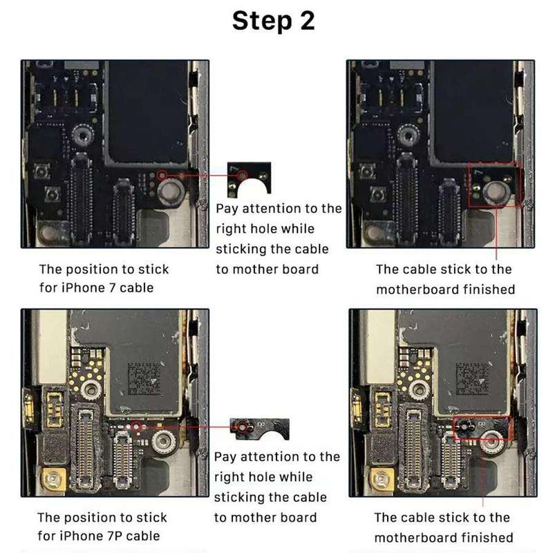Home Button (5th gen) with Flex Cable for iPhone 8 Plus / 7 Plus / 8 / 7 (Rose Gold)