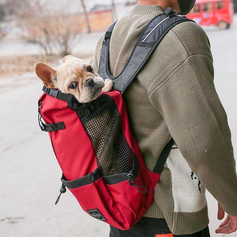 Ventilated And Breathable Washable Pet Portable Backpack, Size: L(Blue)