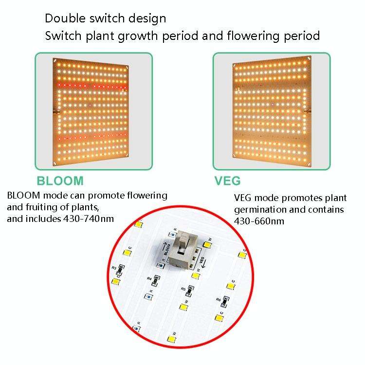 LED Plant Fill Light Full-Spectral Greenhouse Lighting Growth Light, Power: H2 234 Leds 50W(EU Plug)