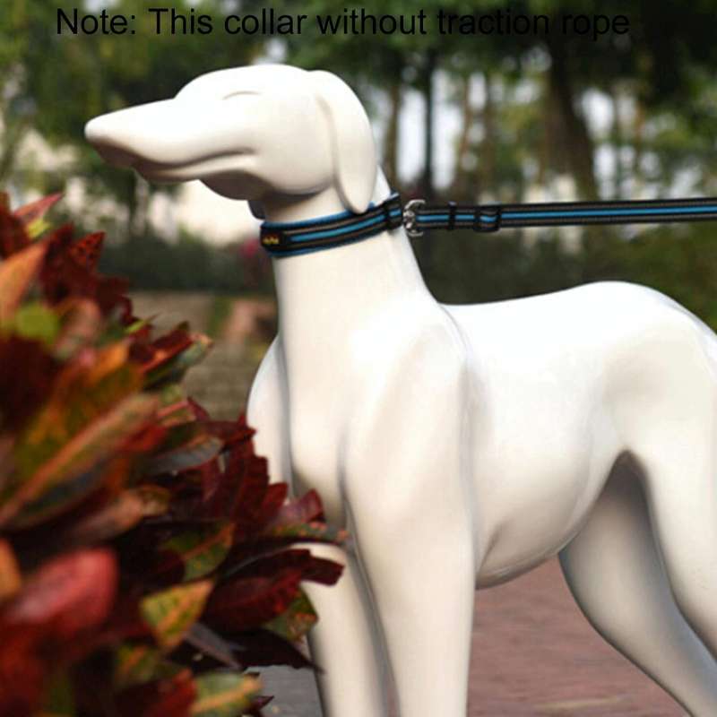 Pet Dogs Polyester Reflective Breathable Pets Collar Traction Lead Leash, Size: M, 2.5*42*47cm (B...