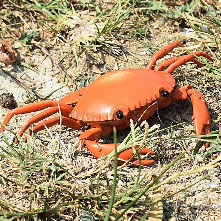 9995 Infrared Sensor Remote Control Simulated Crab Creative Children Electric Tricky Toy Model (Y...