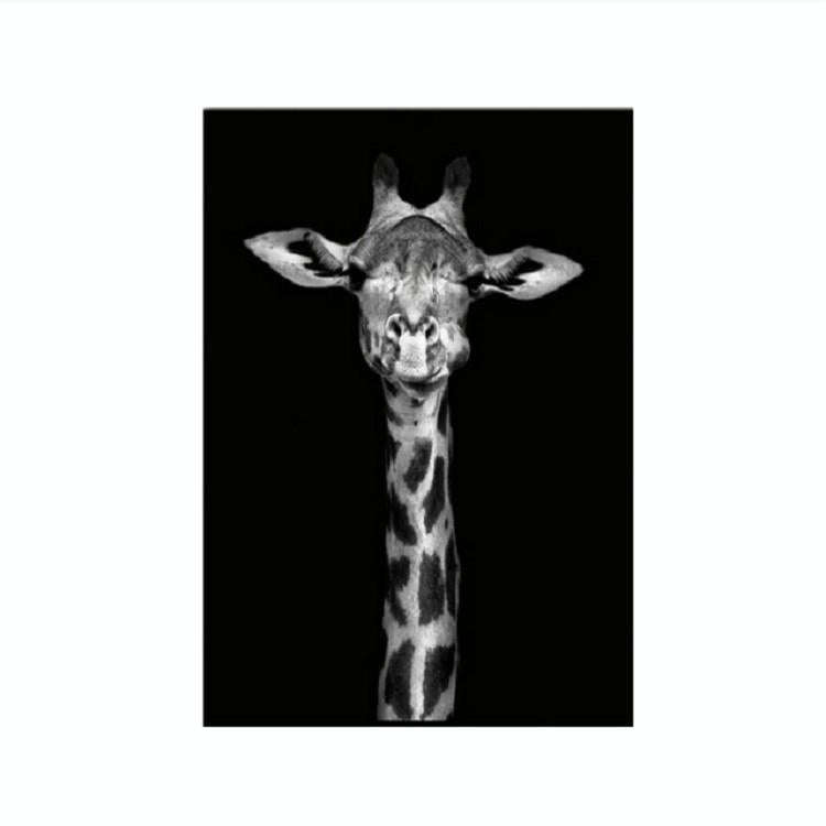 Simple Black and White Animal Decoration Painting Study Living Room Sofa Background Wall Painting...