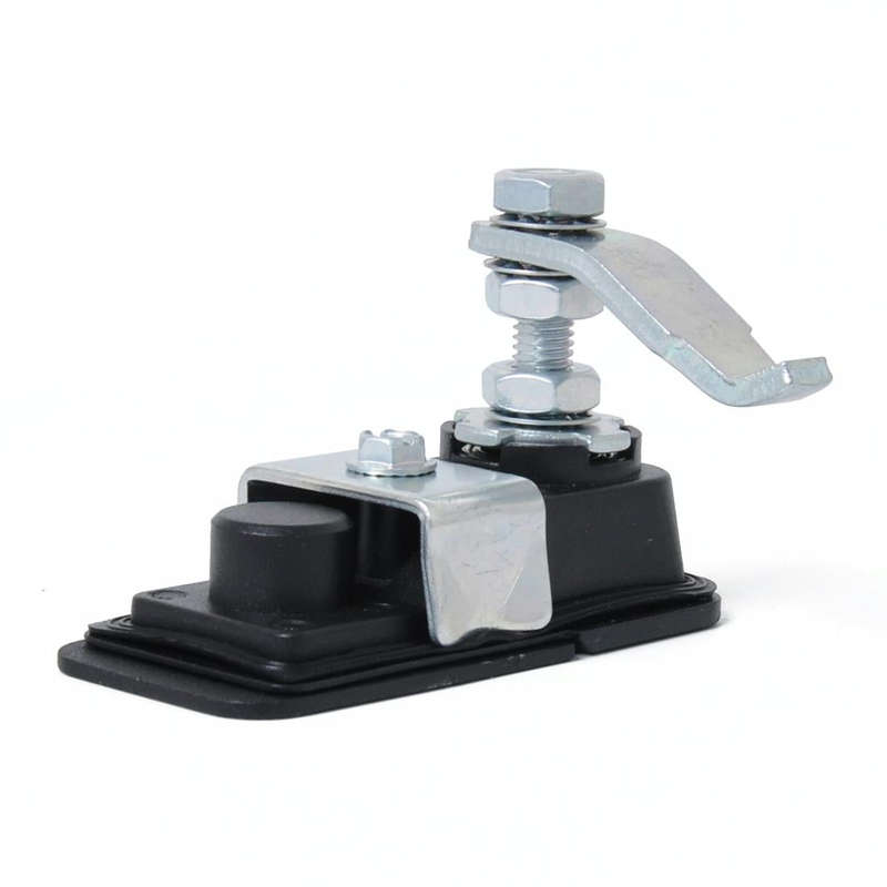 Adjustable Black Paddle Entry Door Latch & Keys Tool Box Lock for Trailer / Yacht / Truck