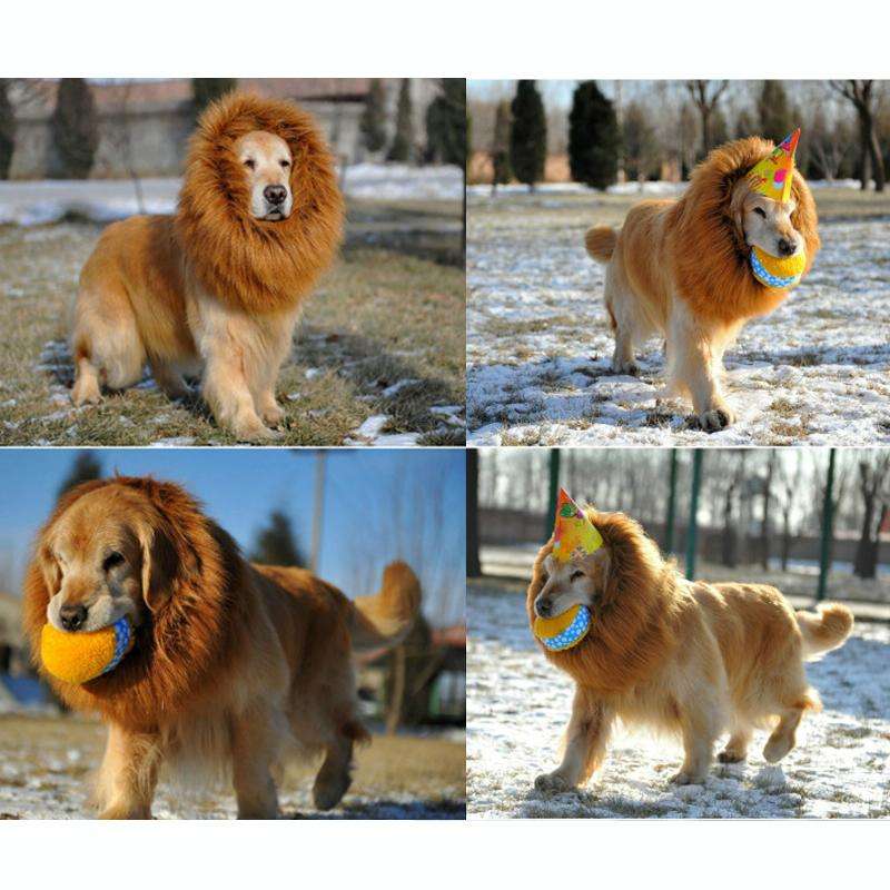 Large Pet Dog Cat Lion Wigs Mane Hair Festival Party Fancy Dress Clothes Costume(White)
