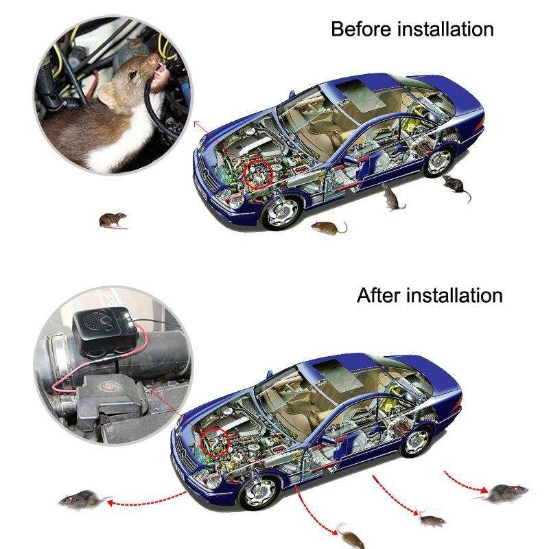 532 Vehicle Ultrasonic Mouse Repeller(Black)