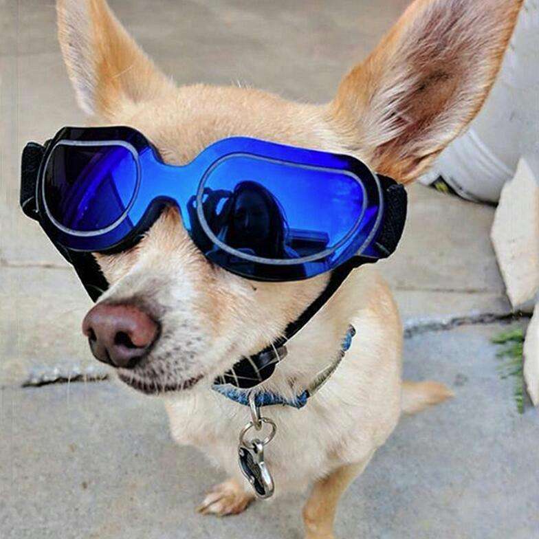 Dog Glasses Sunglasses Pet Glasses(black)