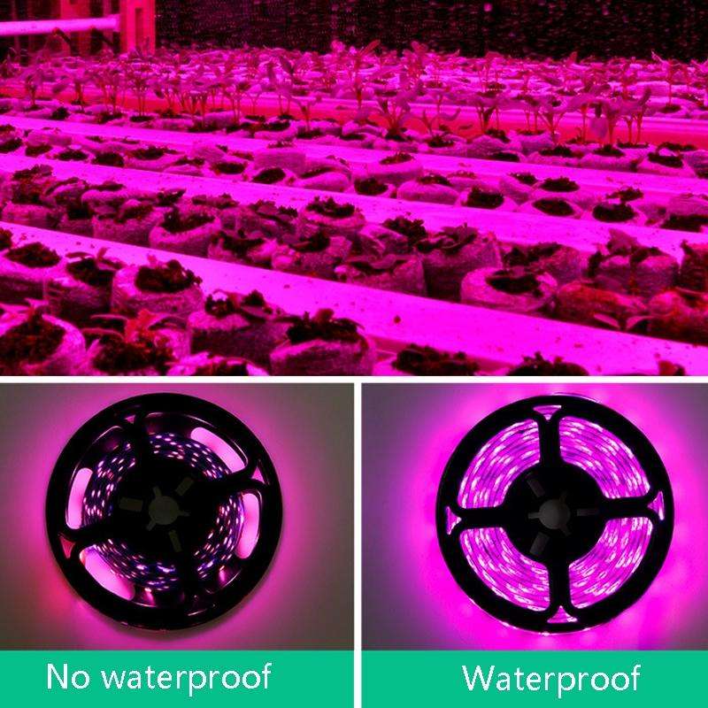 3m Non-waterproof Plant Light Strip LED Planting Filling Light USB Indoor 2835SMD Plant Growth Lamp