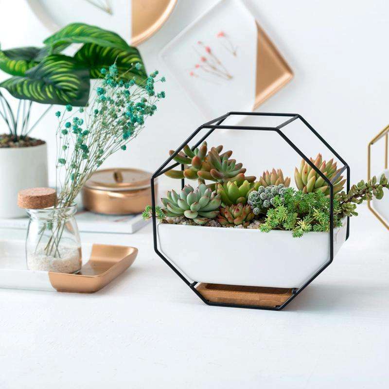Simple Octagonal Geometric Wall Hanging Table Succulent Platter Bamboo Support Iron Frame Flower ...