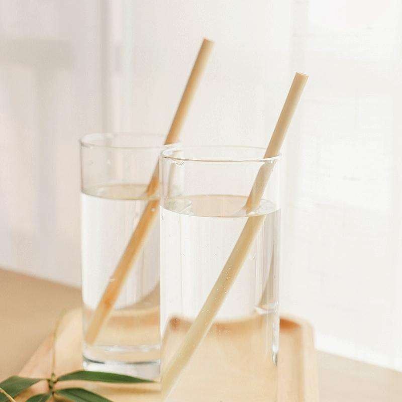 10 PCS Juice Coffee Pearl Milk Tea Natural Degradable Bamboo Straw, Style: 20cm Flat