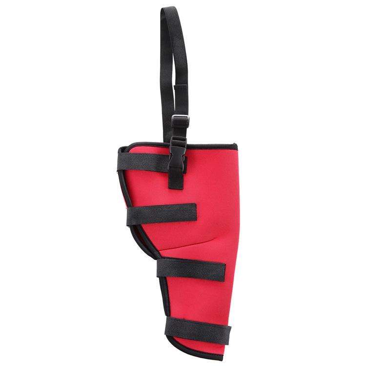 HJ19 Pet Surgery Rehabilitation Back Leg Protector Walking Aids, Size: XS(Red Left Back Leg)