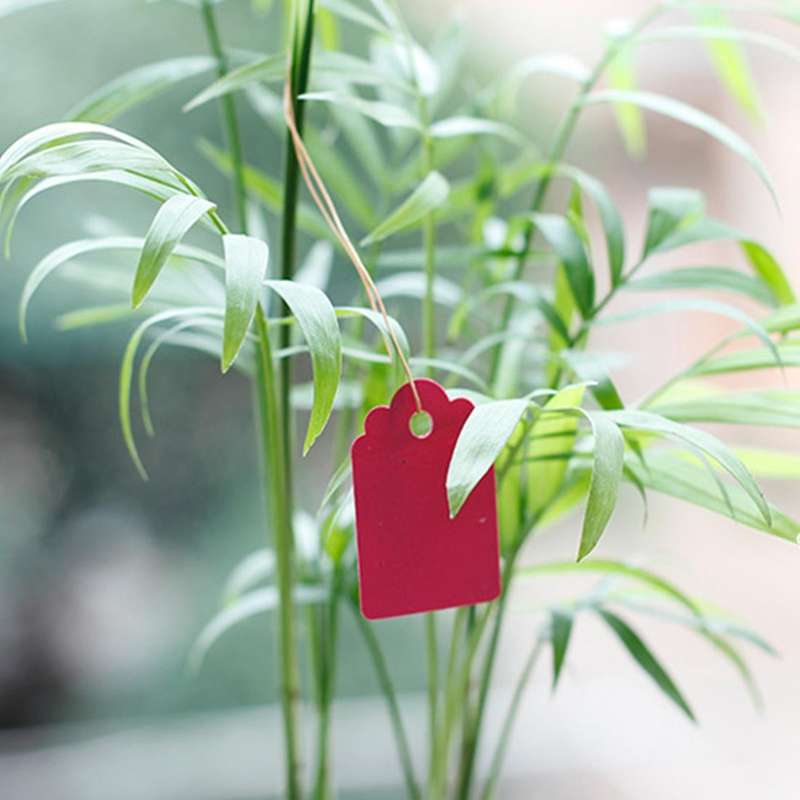 100 PCS Waterproof Durable and Reusable Plastic Nursery Garden Plant Label Flower Tag Mark Plant ...
