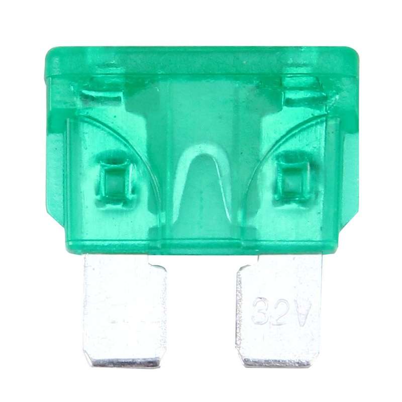 100 PCS Auto Mini Blade Fuse (30A) , DC 12V(Green)