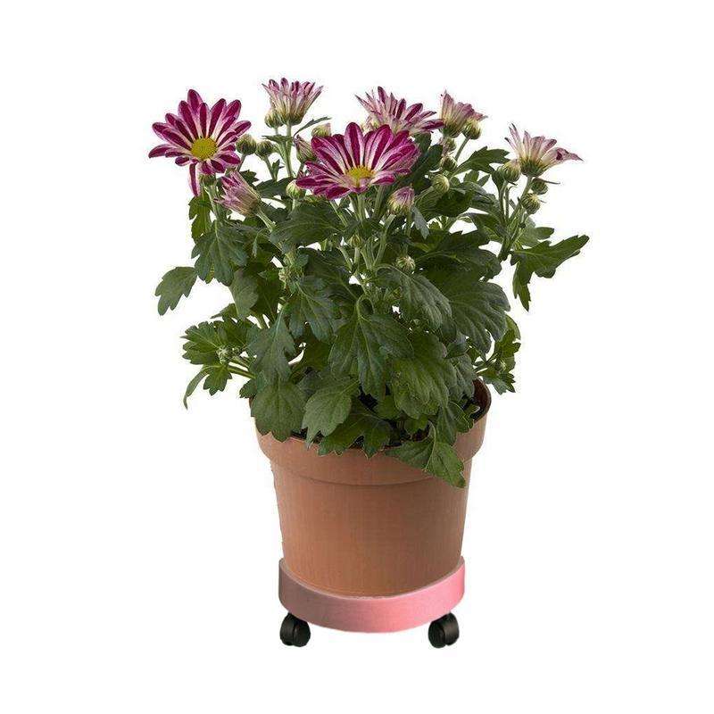 Universal Round Wheels Pot Tray Easy Moving Plant Pot Tray Garden Plate Plastic Stand(Green)