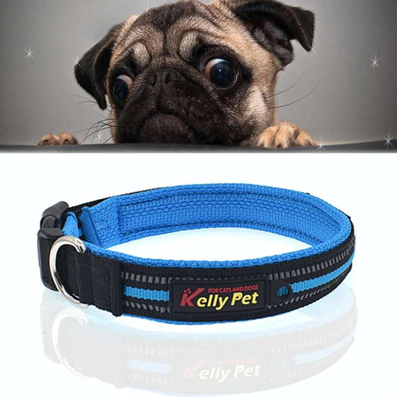 Pet Dogs Polyester Reflective Breathable Pets Collar Traction Lead Leash, Size: M, 2.5*42*47cm (B...