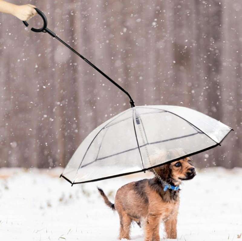 Pet Umbrella Transparent Adjustable Rainy Dog Walking Leash