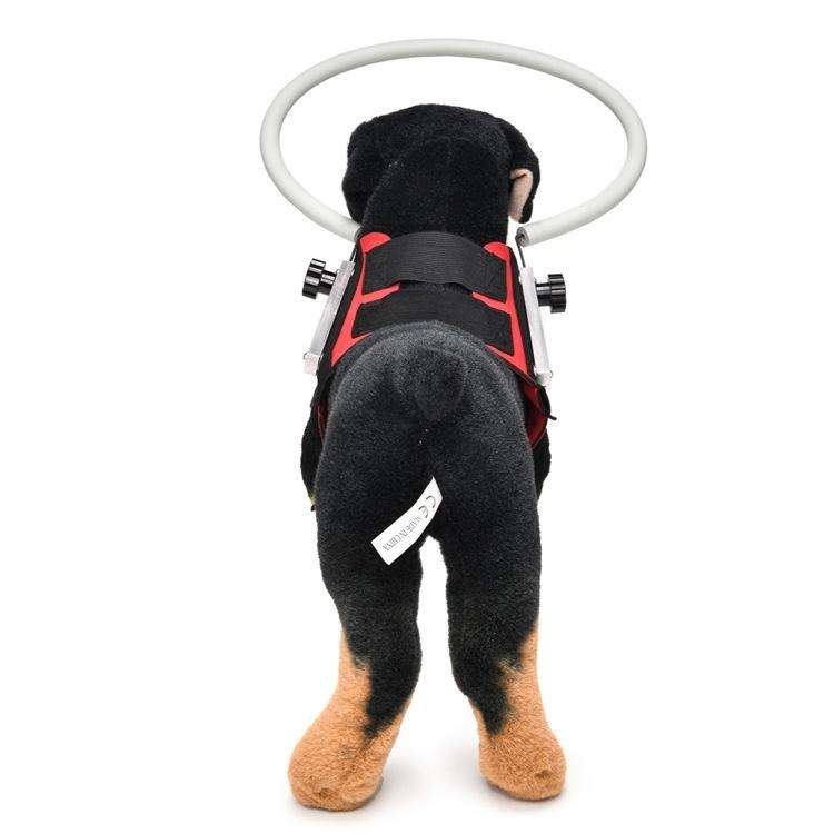 Dog Blindness Anti-Collision Ring Animal Protection Ring Cover Guide Ring, Specification: S(Red)