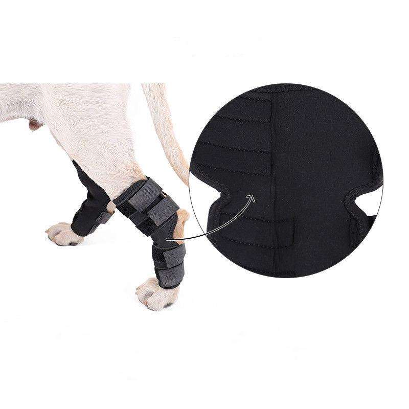 DogLemi PD60041 Dog Hock Brace Pet Supportive Rear Dog Compression Leg Joint Wrap Protects Wounds...