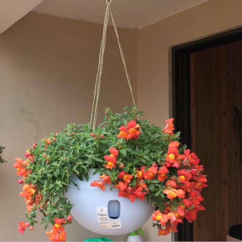 Hanging Plastic Flower Pots Hanging Pots Flower Pot With Hanging Chain,Medium Size:23.2*15.7cm ,R...