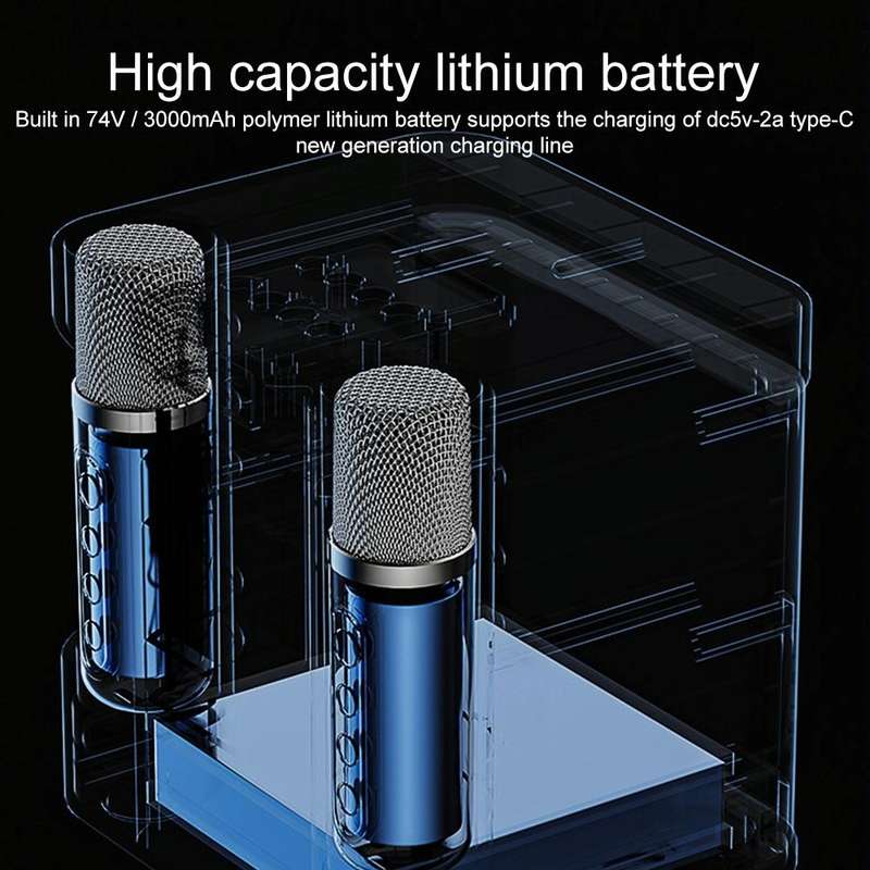 YS-203 Bluetooth Karaoke Speaker Wireless Microphone(Black)