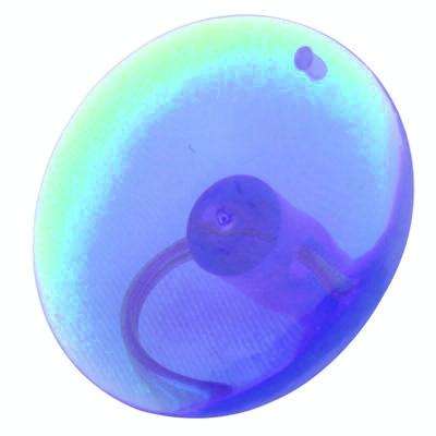 Professional Screen Suction Cup Tool(Blue)