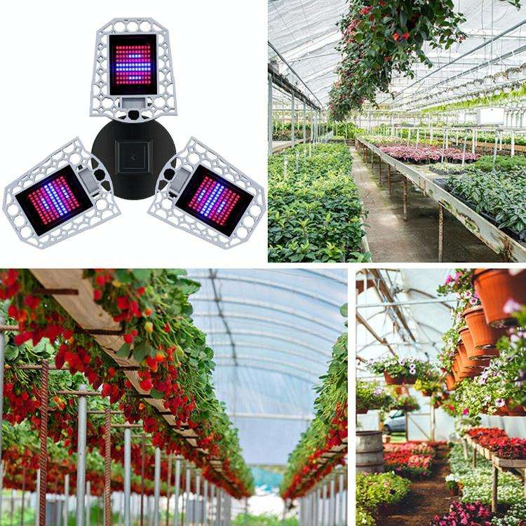 LED Plant Lamp Full Spectroscopy Red And Blue Fill Light Plant Growth Lamp, Power: E26 240 Beads