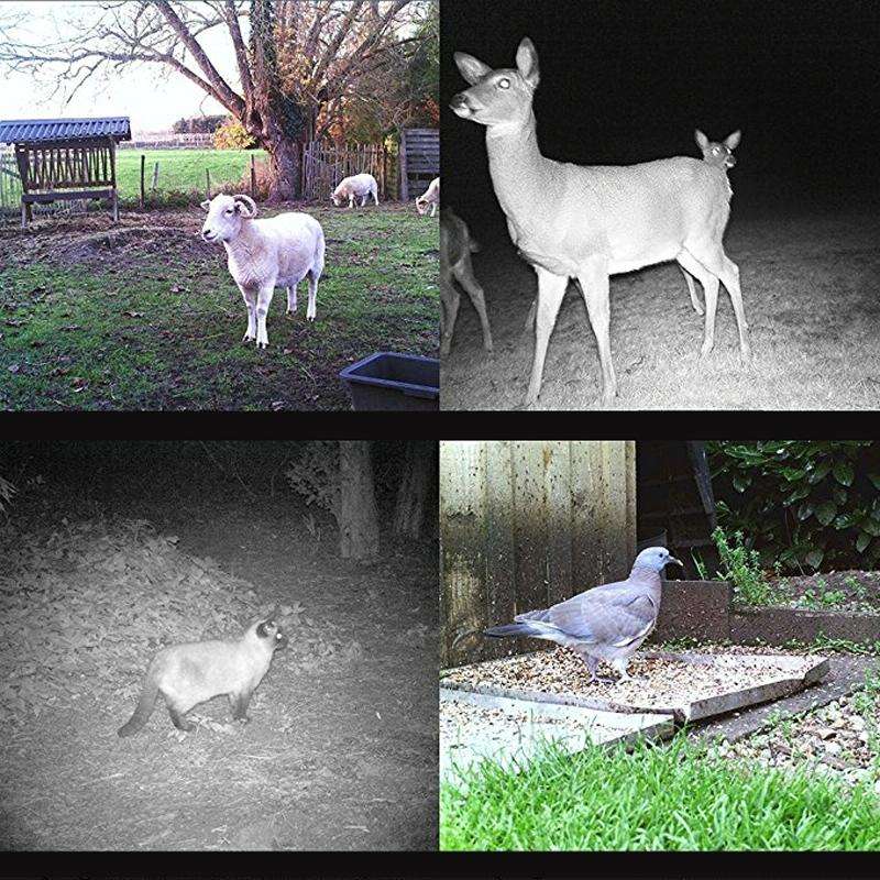 HC300M 2.0 inch LCD 12MP Waterproof IP54 IR Night Vision Security Hunting Trail Camera with MMS F...