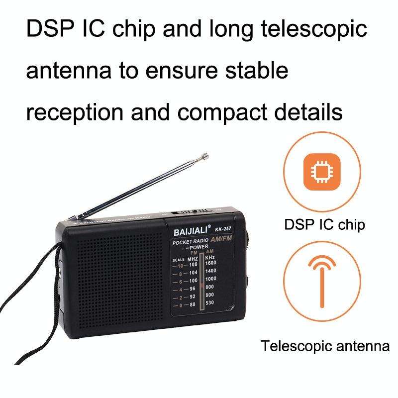 BAIJIALI BJL228 Retro Portable Two Band FM AM Radio Built-in Speaker(Black)