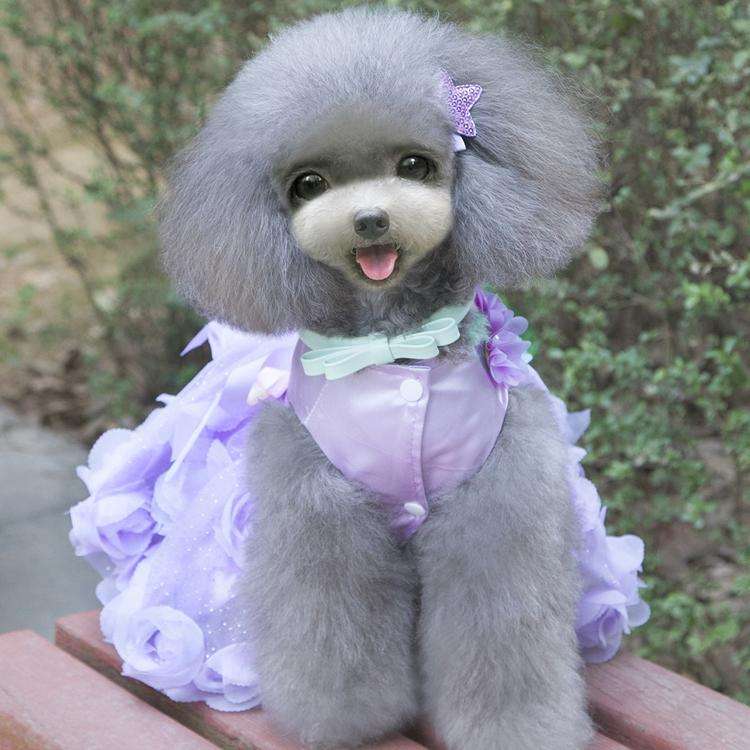 Pet Clothes Dog Spring Summer Thin Dress Rose Dress, Size: L(Purple)