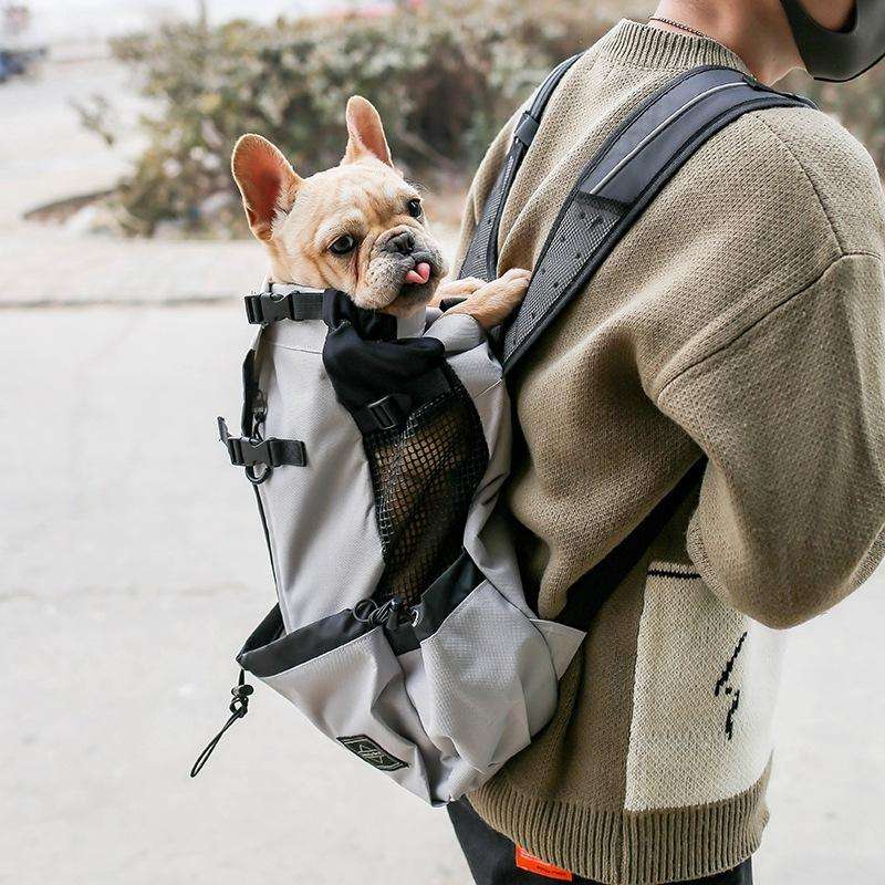 Ventilated And Breathable Washable Pet Portable Backpack, Size: L(Blue)