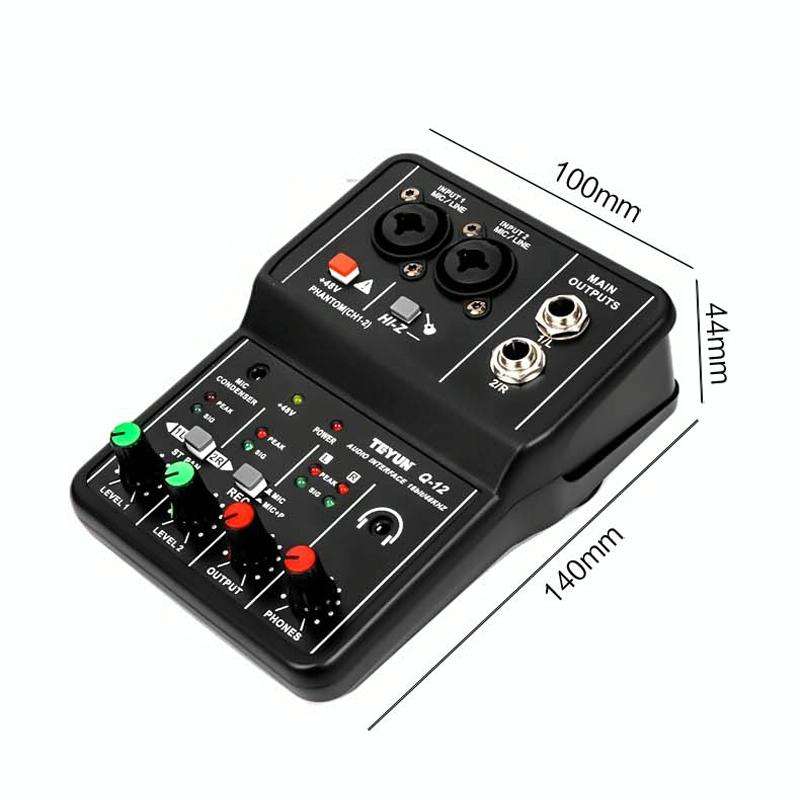 TEYUN Q-12 Computer Recording Sound Card USB Drive-free Recording Arranger(Black)