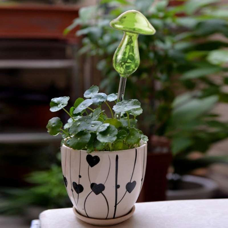 Mushroom Shape House Plants Flowers Water Feeder Automatic Self Watering Clear Glass Devices(Green)