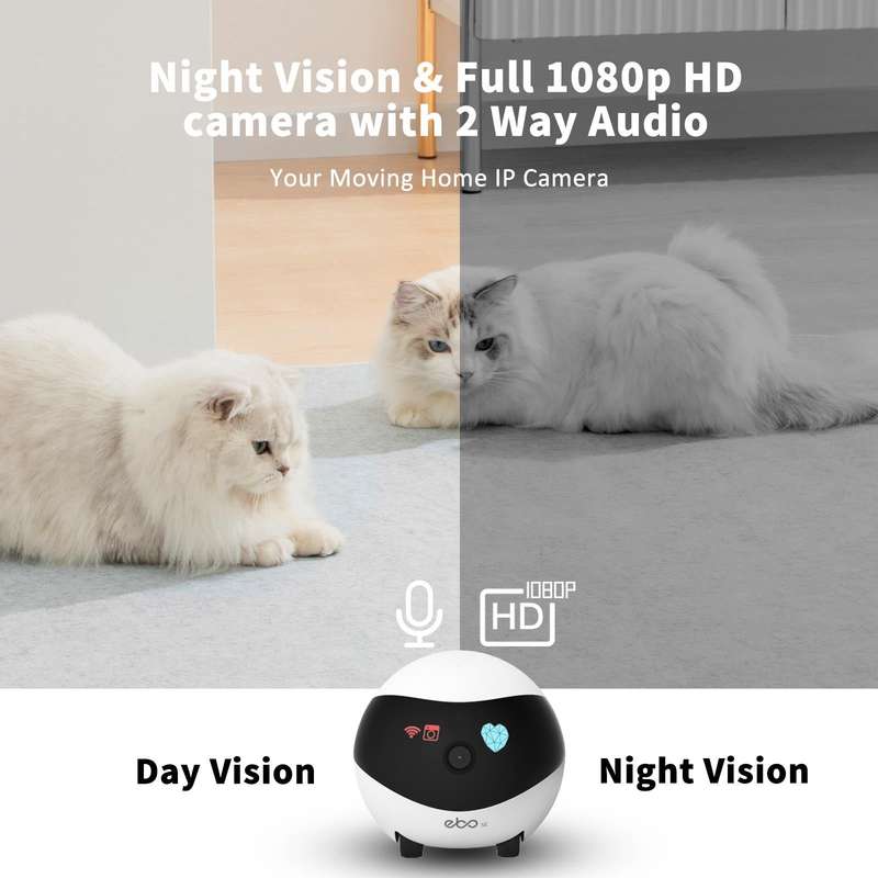 EBO SE 1080P HD Smart Home Companion Robot Remote Monitoring Camera, Support Infrared Night Visio...