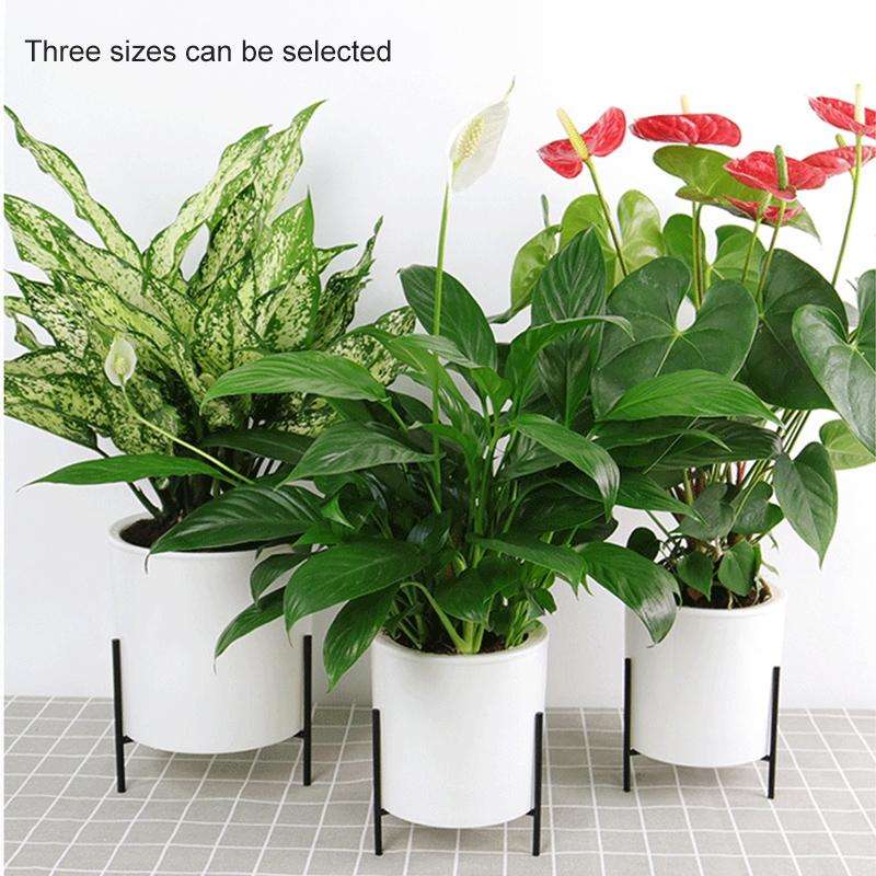 110mm PP Planter Flower Pot Automatic Water-absorbing Lazy Flower Pot, with Shelf