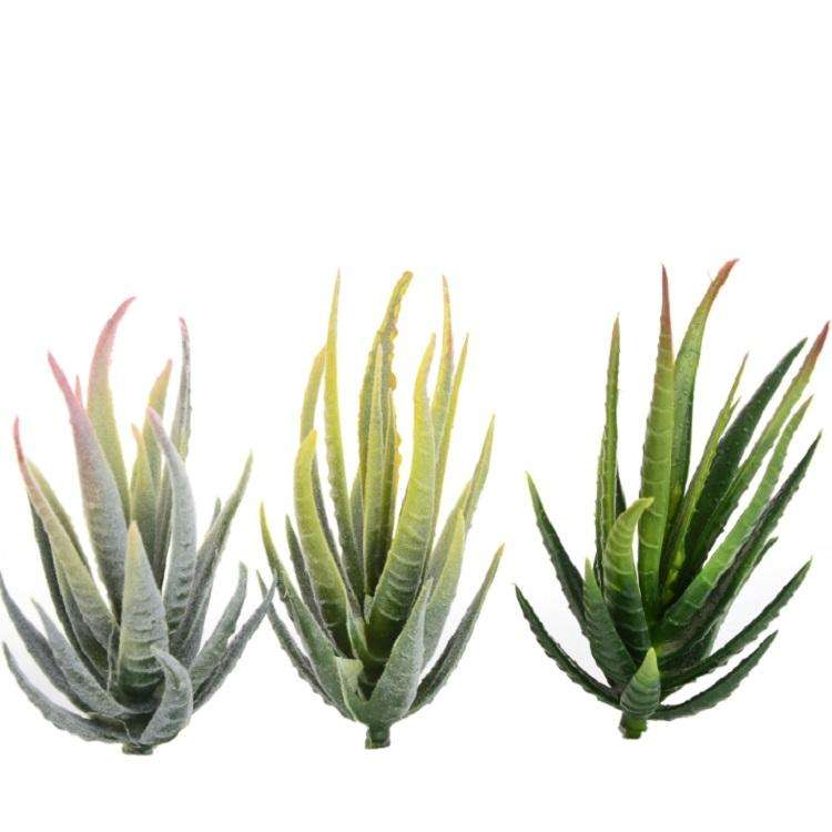 Artificial Mini Aloe Plastic Plants Craft Floristry Landscape Garden Family Office Decoration(Gre...