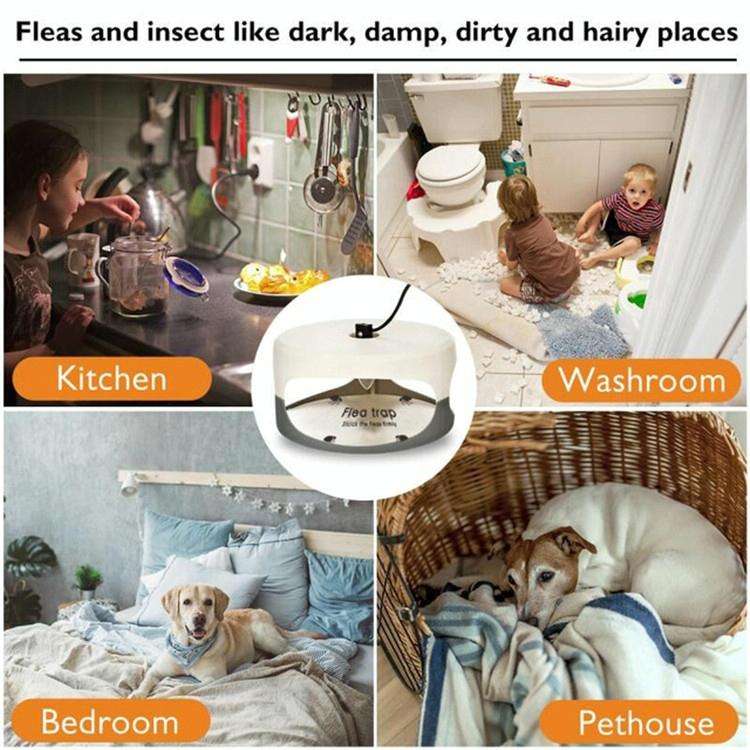 Flea Trap Pet Home Flea Lamp, Plug Type:AU Plug
