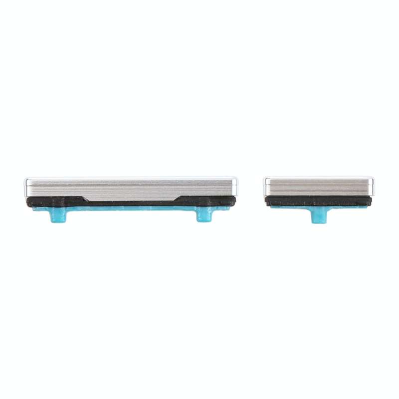 For Samsung Galaxy S21+ 5G Power Button and Volume Control Button(Silver)