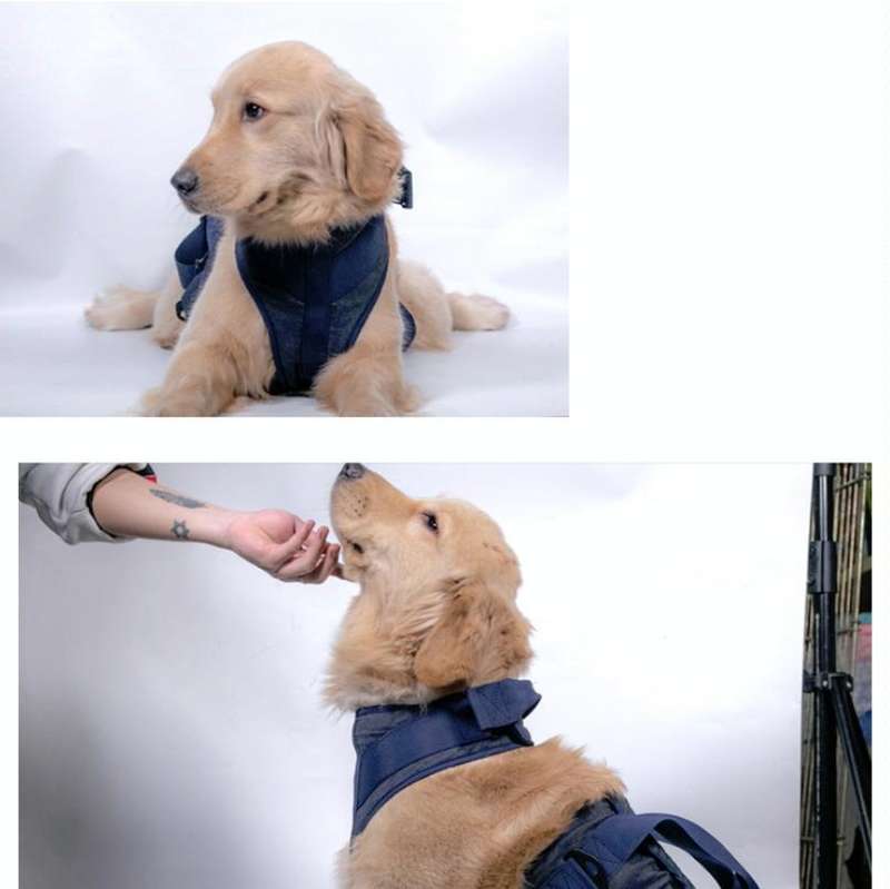 Pet Leash Senior Dogs Walking Aids Chest Harness, Size: M(Dark Blue)